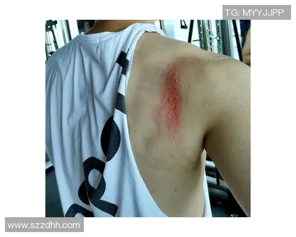 杭州篮球队逆袭之旅的真实记录与背后故事探秘