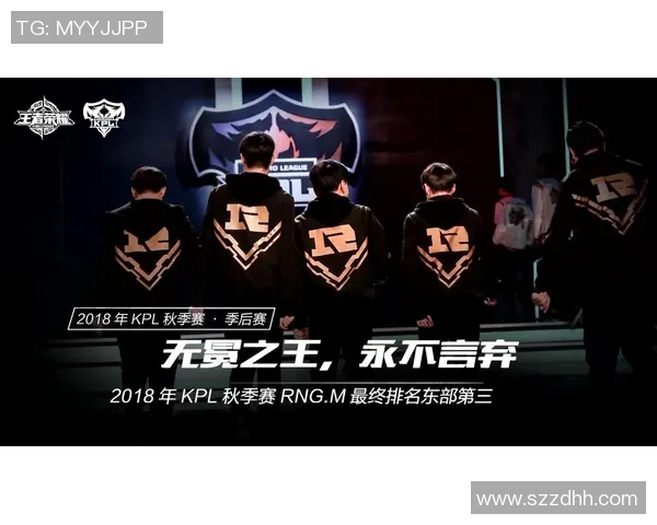 王者荣耀战术深度解析：揭秘RNG团队协作与策略运用的成功之道